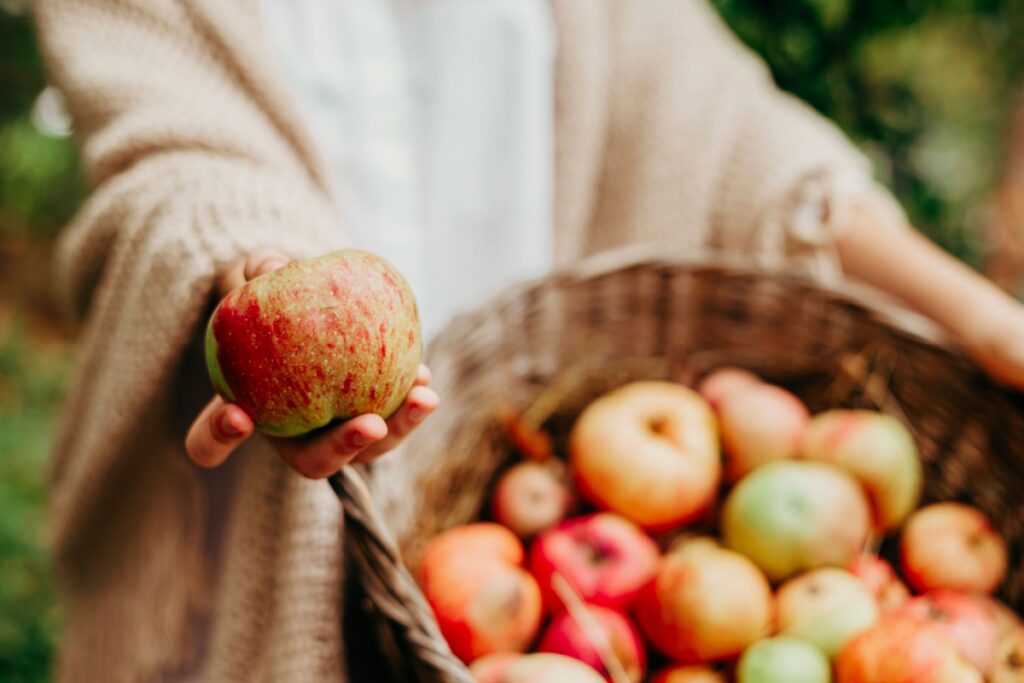 From Apples to Acorn Squash: Delicious Fall Foods to Try Now