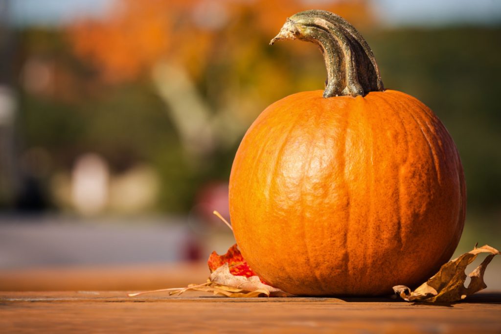 What Are the Health Benefits of Pumpkin? Plus, What to Do With Them After Halloween…